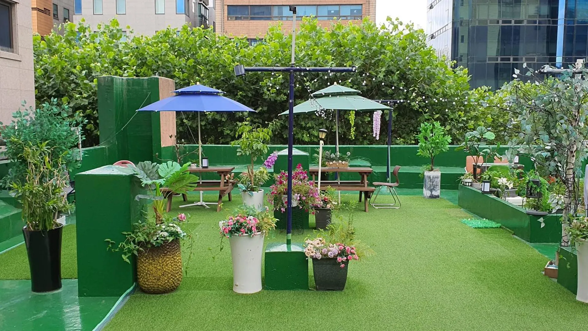 Shaho Hostel Seoul